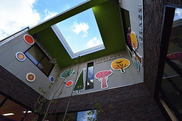 最高のわくわく感 最高のわくわく感